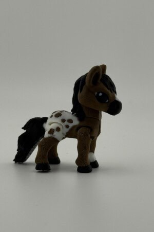 Sunny the Mini Horse