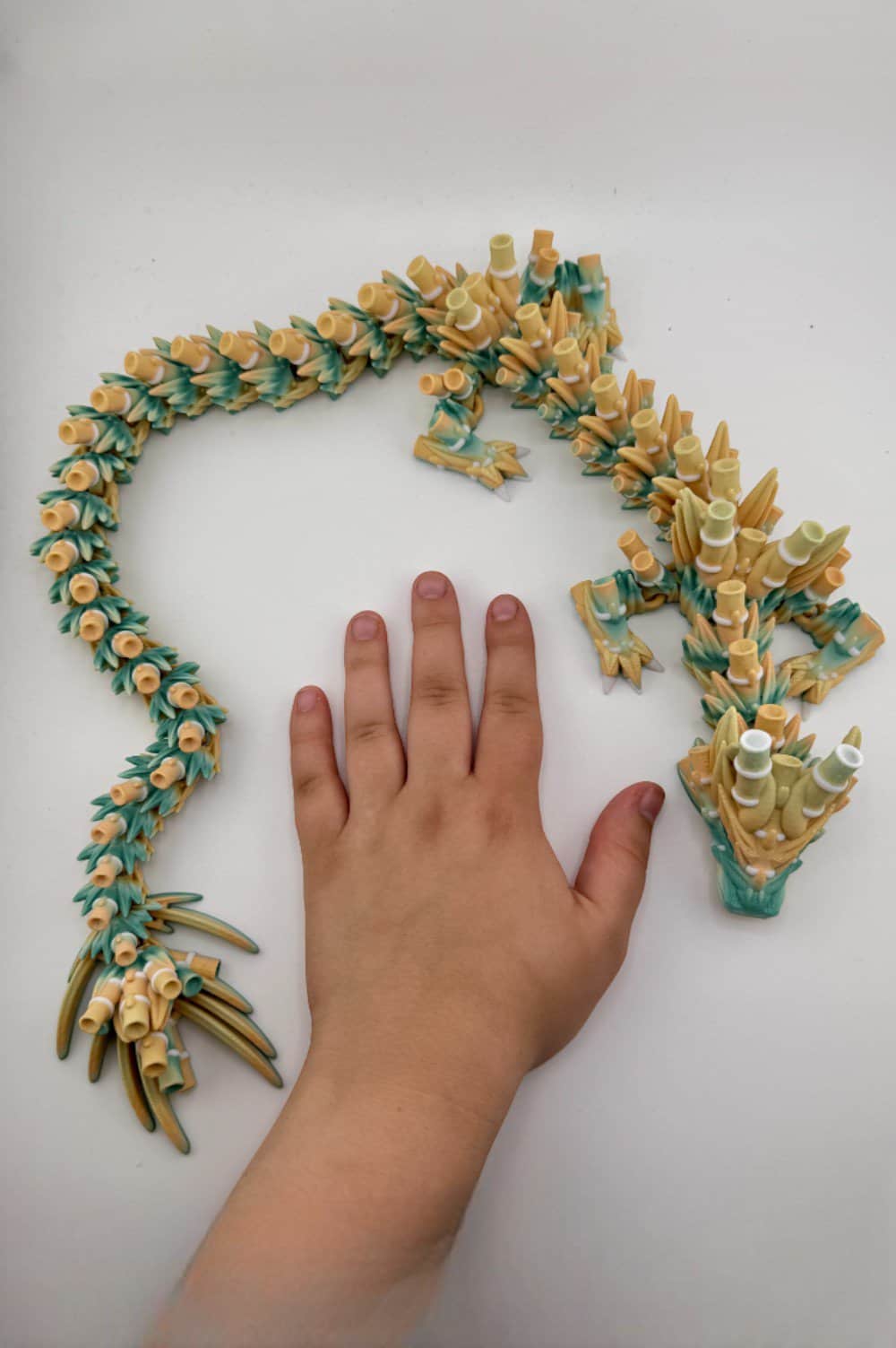 20250618_234008993_iOS-Photoroom