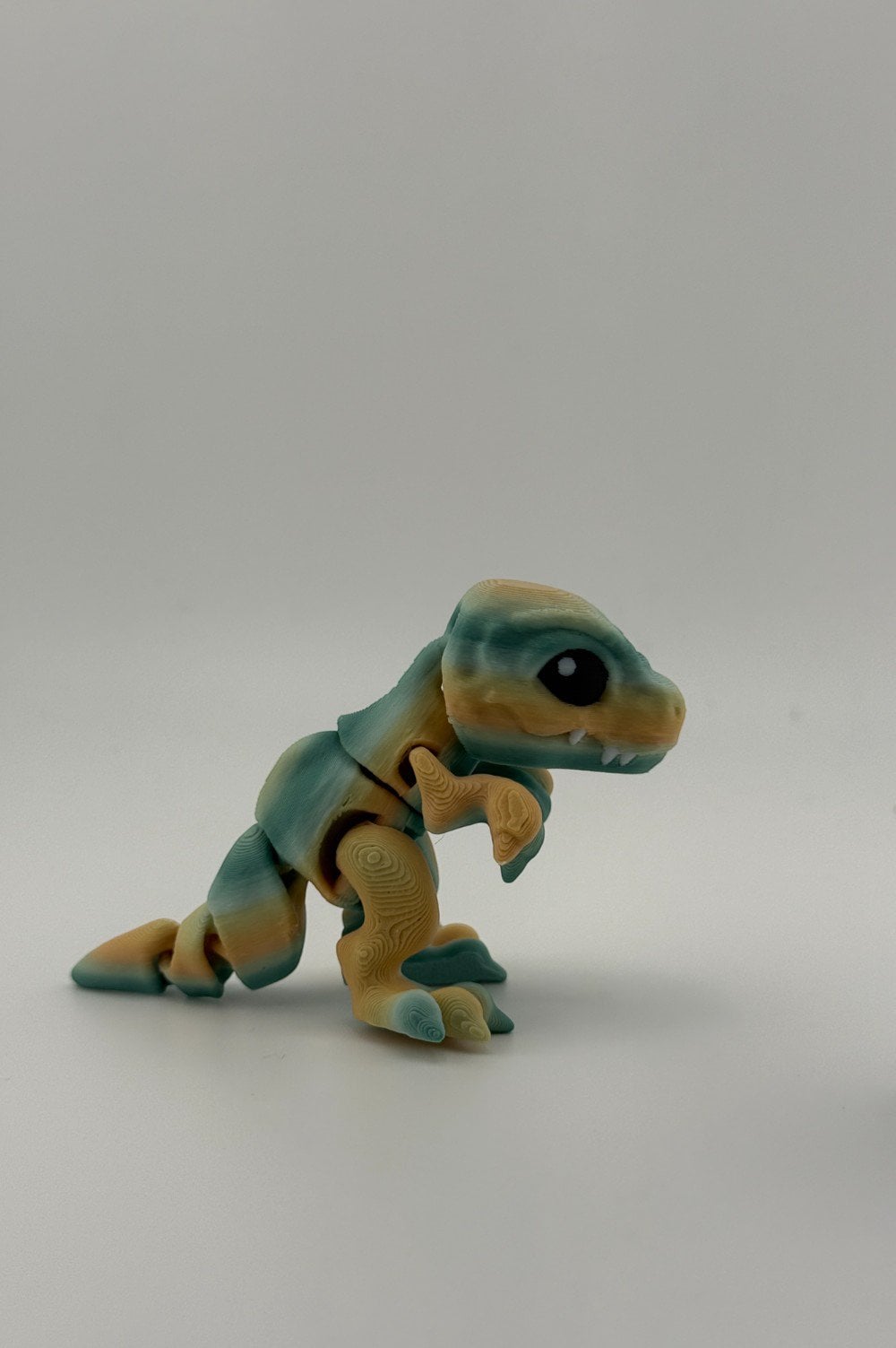 20250618_235538737_iOS-Photoroom