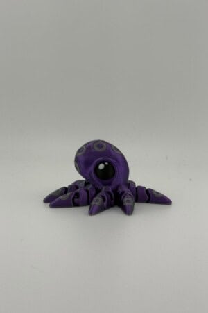 Oli the Octopus
