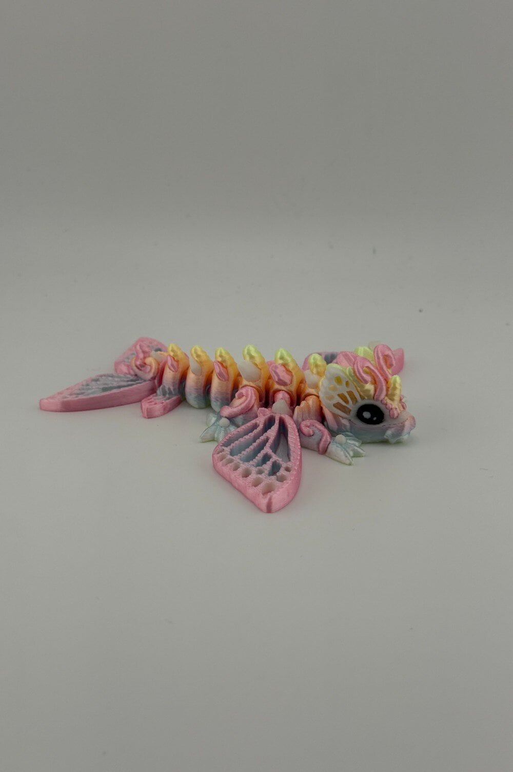 20250619_000130171_iOS-Photoroom