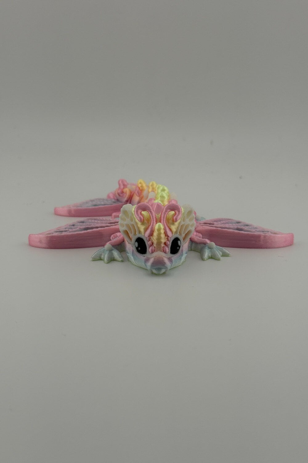 20250619_000134759_iOS-Photoroom