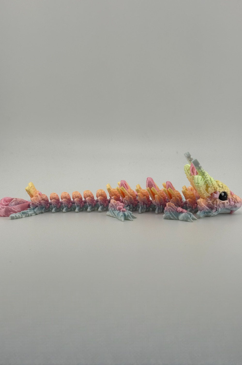 20250619_000356104_iOS-Photoroom