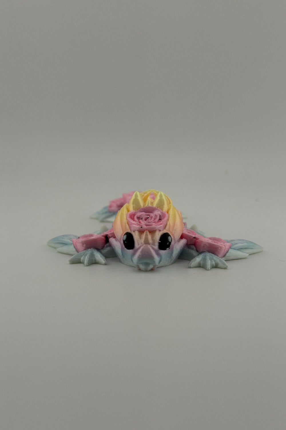 20250619_000450675_iOS-Photoroom