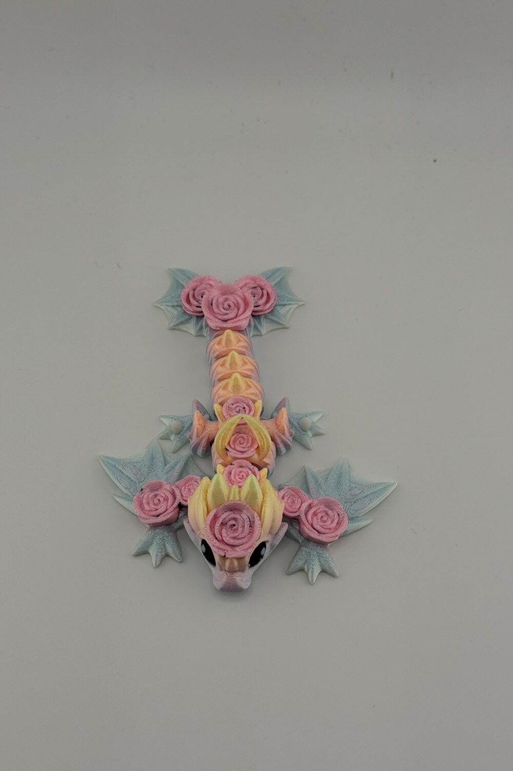 20250619_000452987_iOS-Photoroom