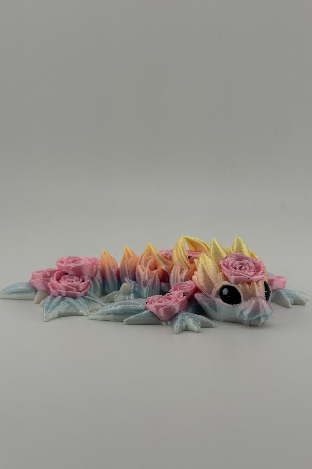 20250619_000505323_iOS-Photoroom