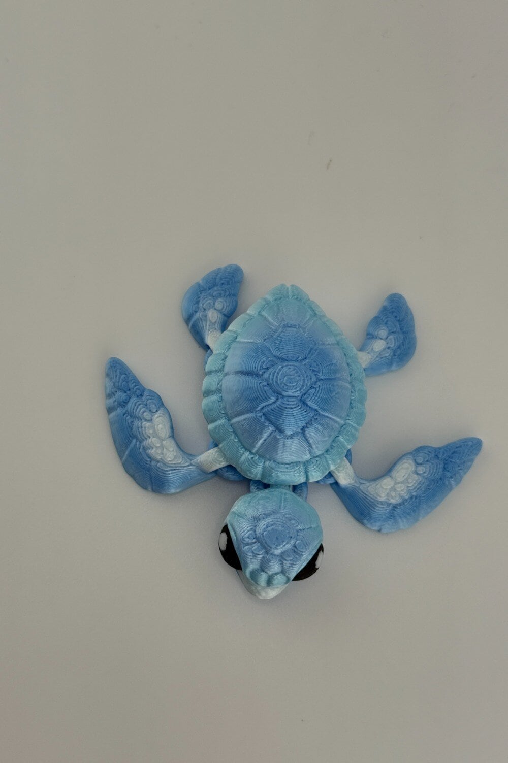 20250619_000659435_iOS-Photoroom