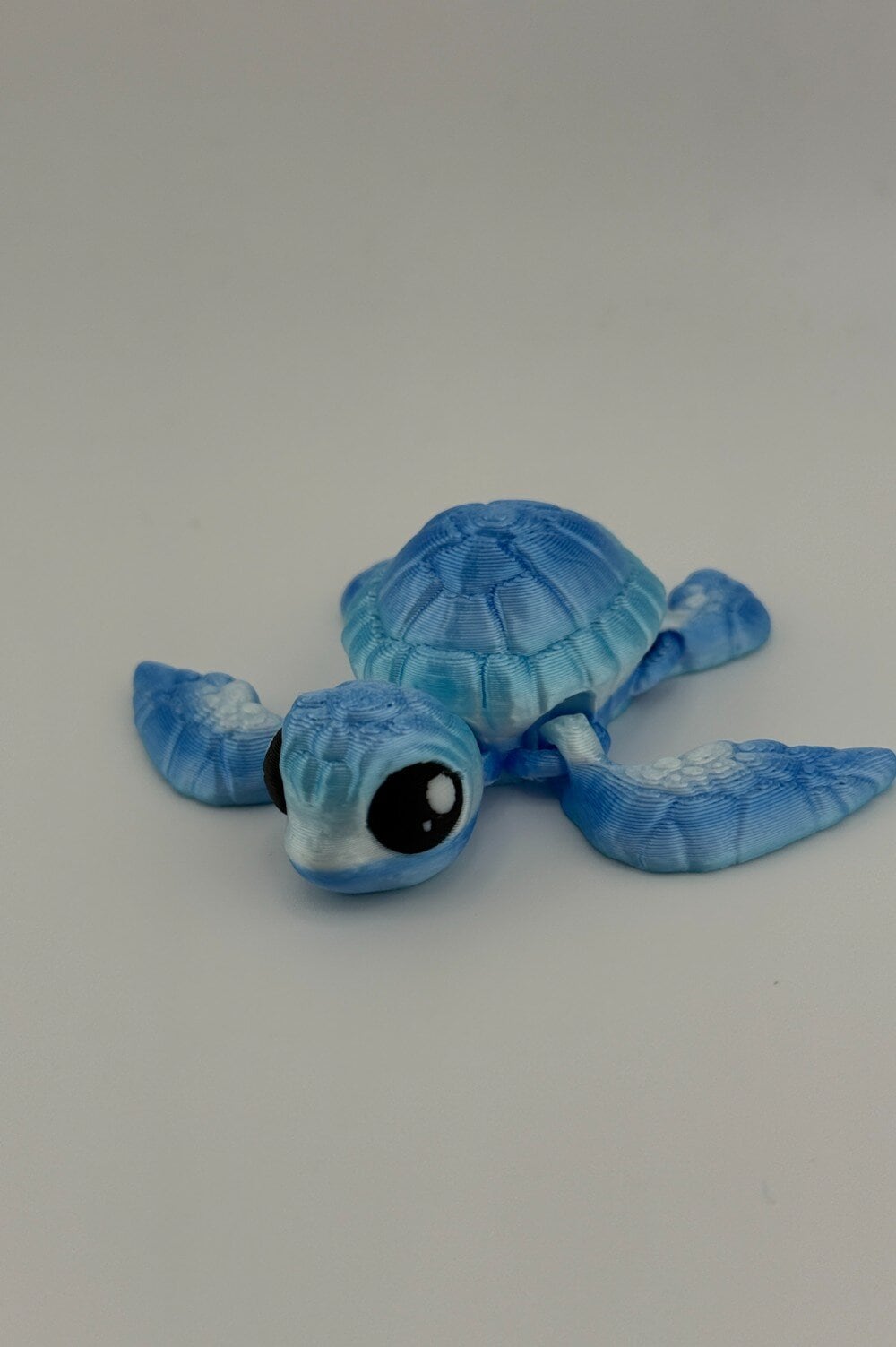 20250619_000710420_iOS-Photoroom