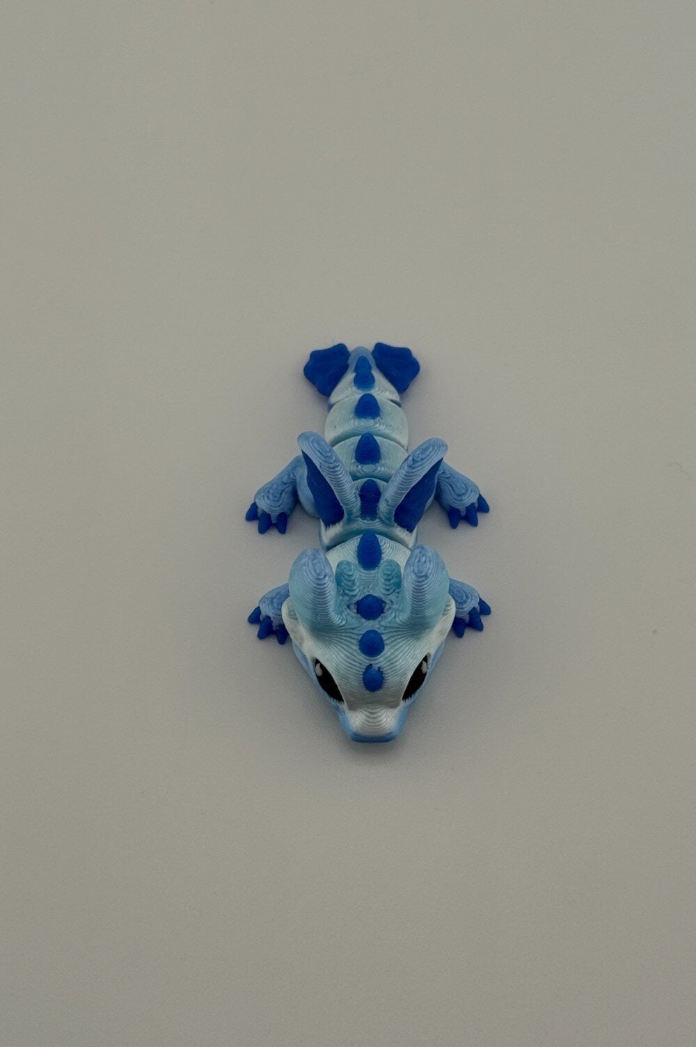 20250619_000803585_iOS-Photoroom