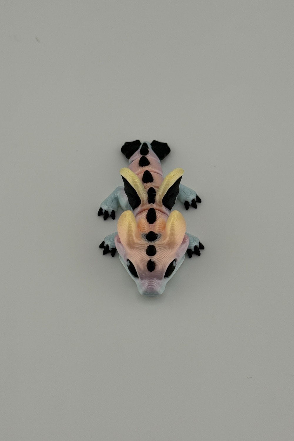 20250619_000938079_iOS-Photoroom