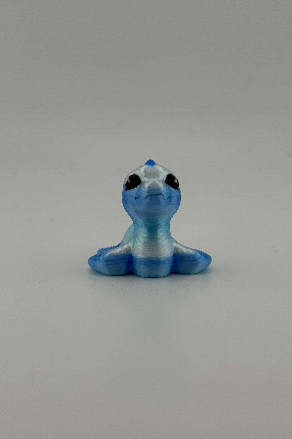 20250619_001443359_iOS-Photoroom