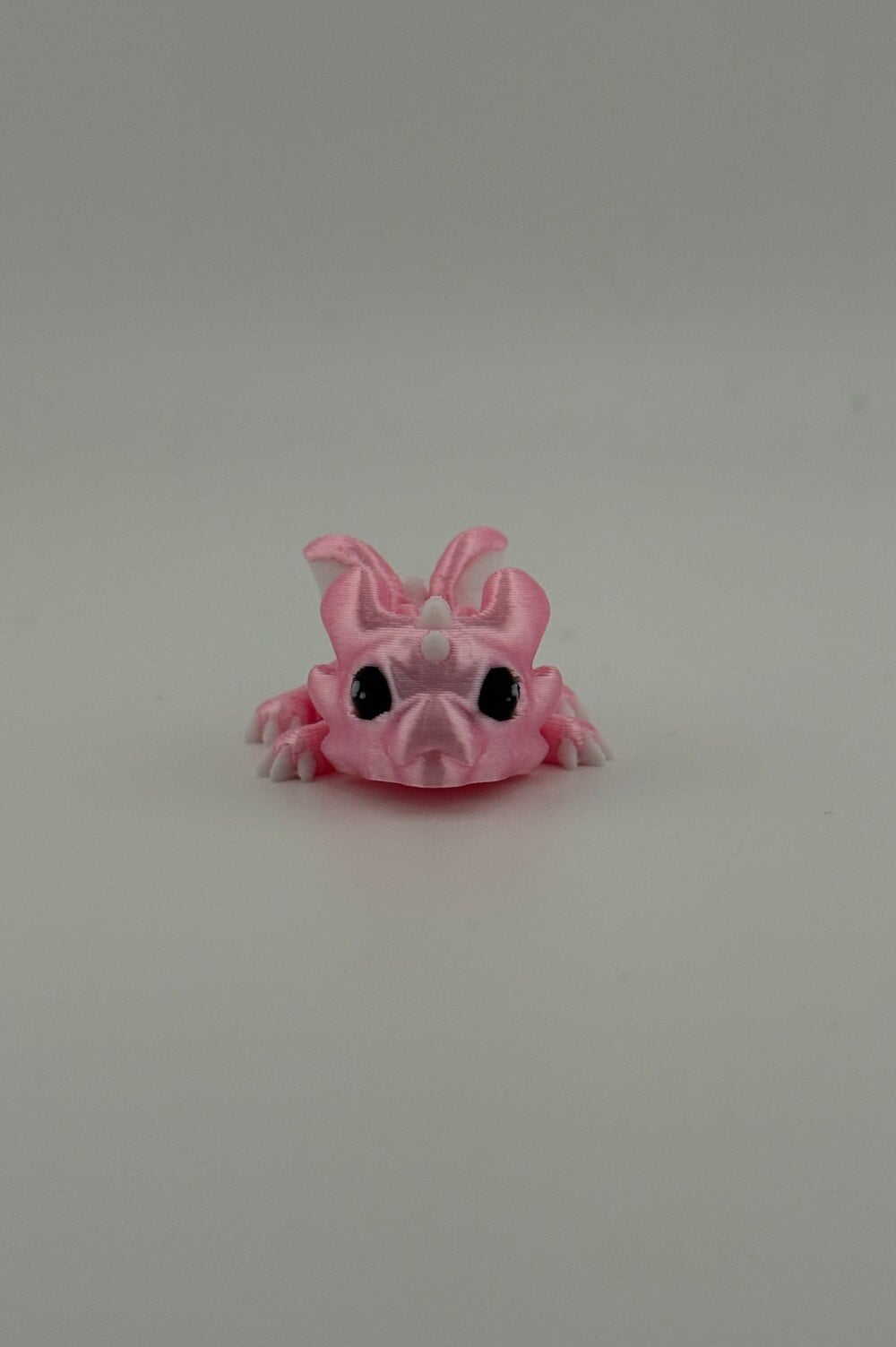 20250619_040447345_iOS-Photoroom