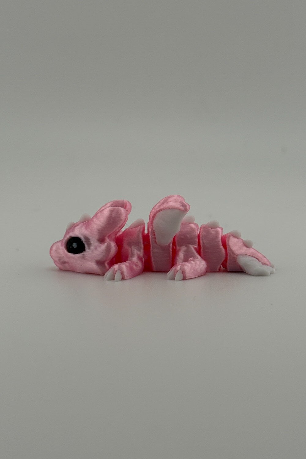 20250619_040455866_iOS-Photoroom