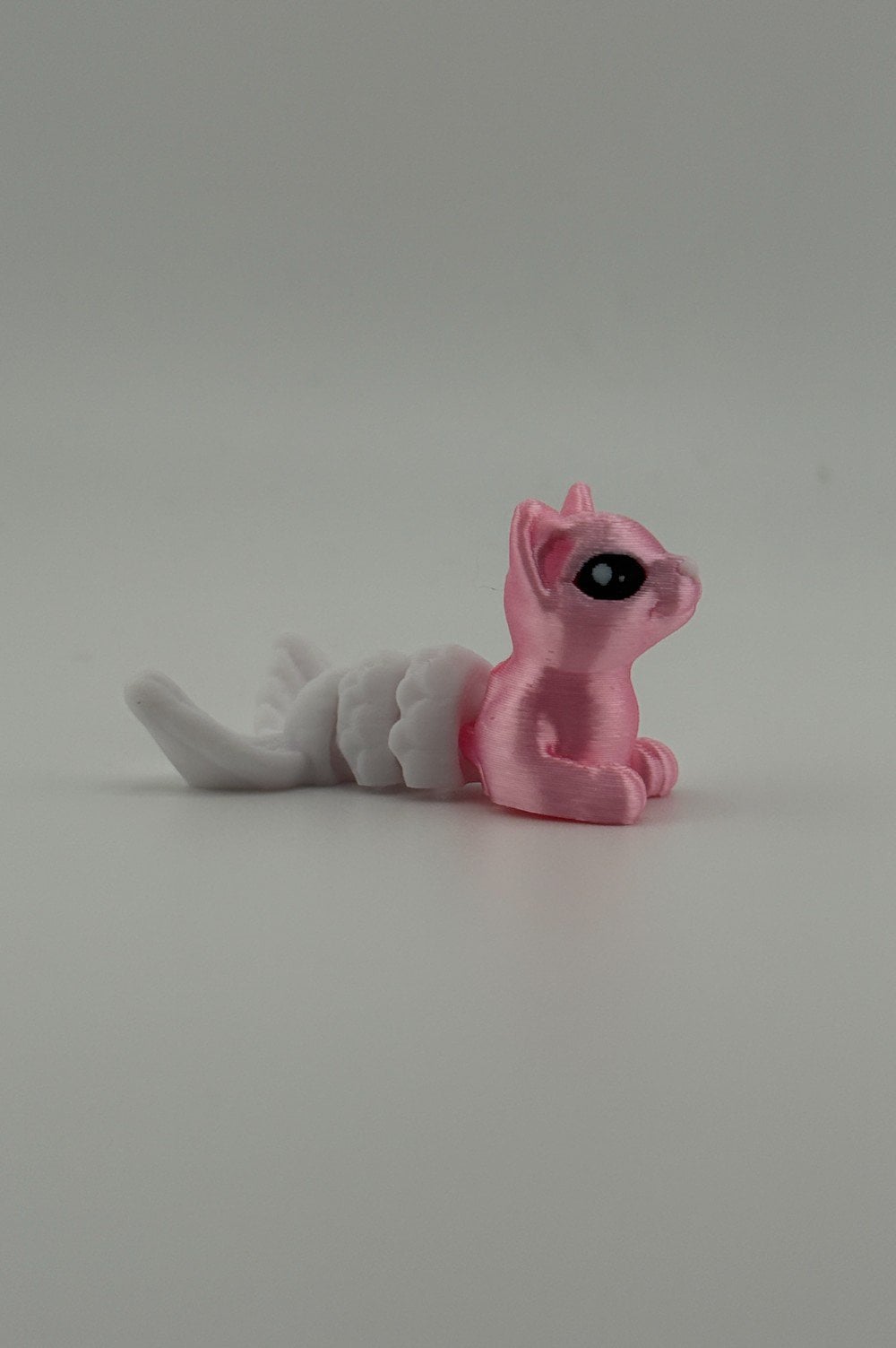 20250619_040916889_iOS-Photoroom