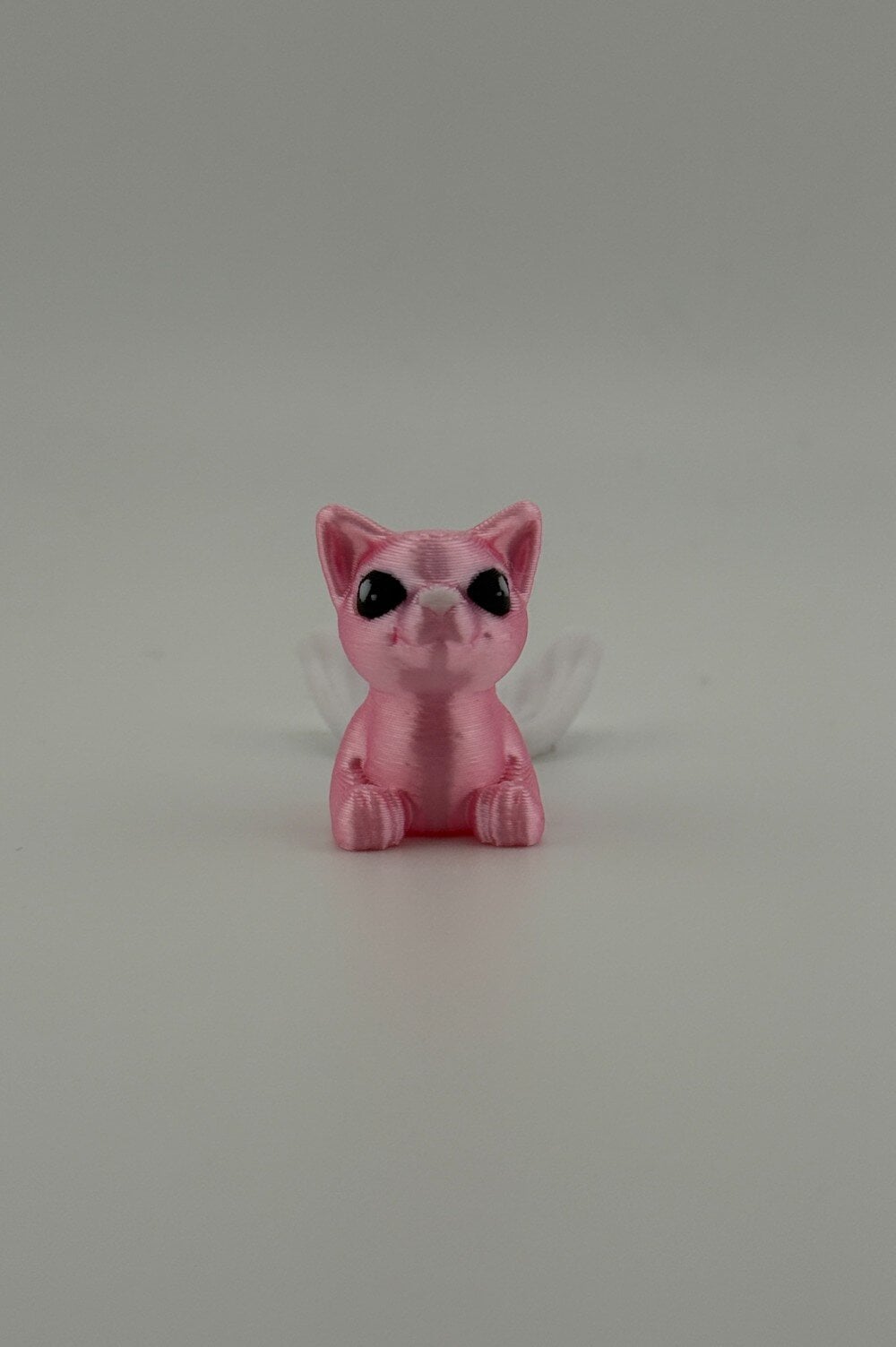 20250619_040920367_iOS-Photoroom