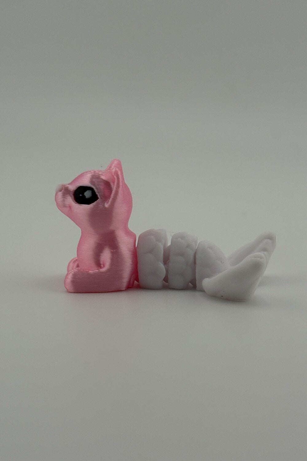 20250619_040924887_iOS-Photoroom