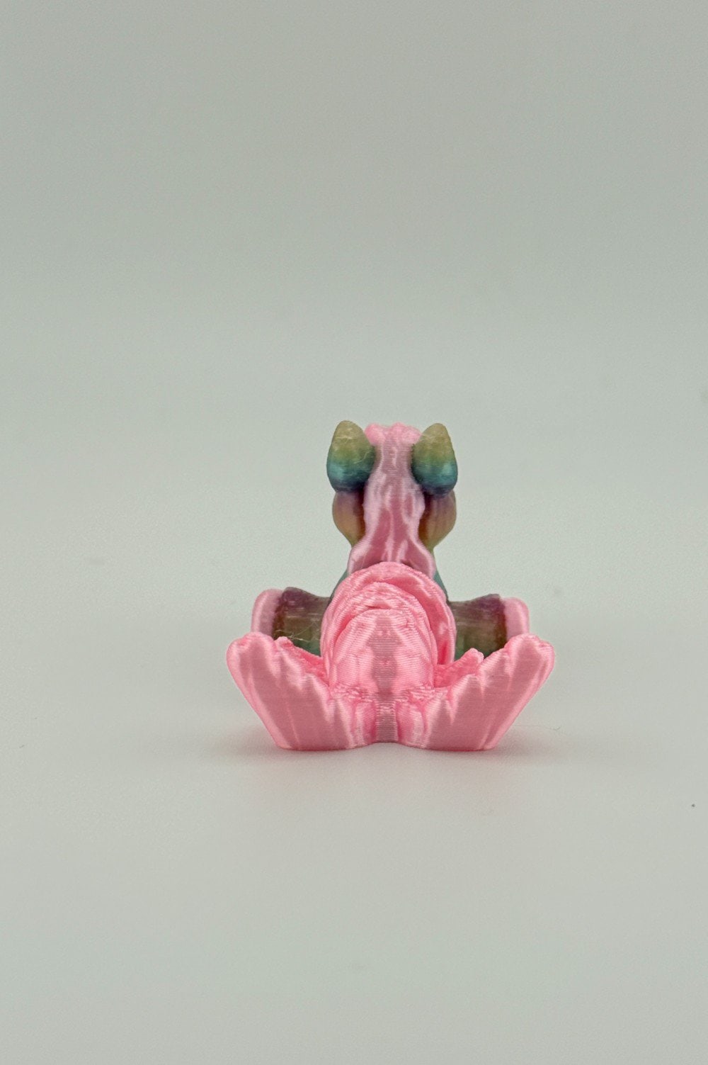 20250619_041020758_iOS-Photoroom