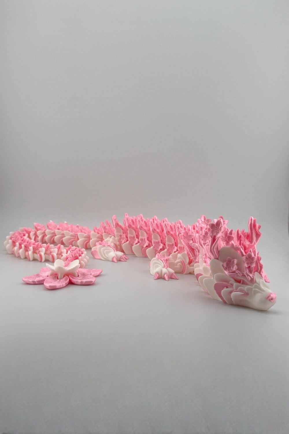 20250627_191405247_iOS-Photoroom