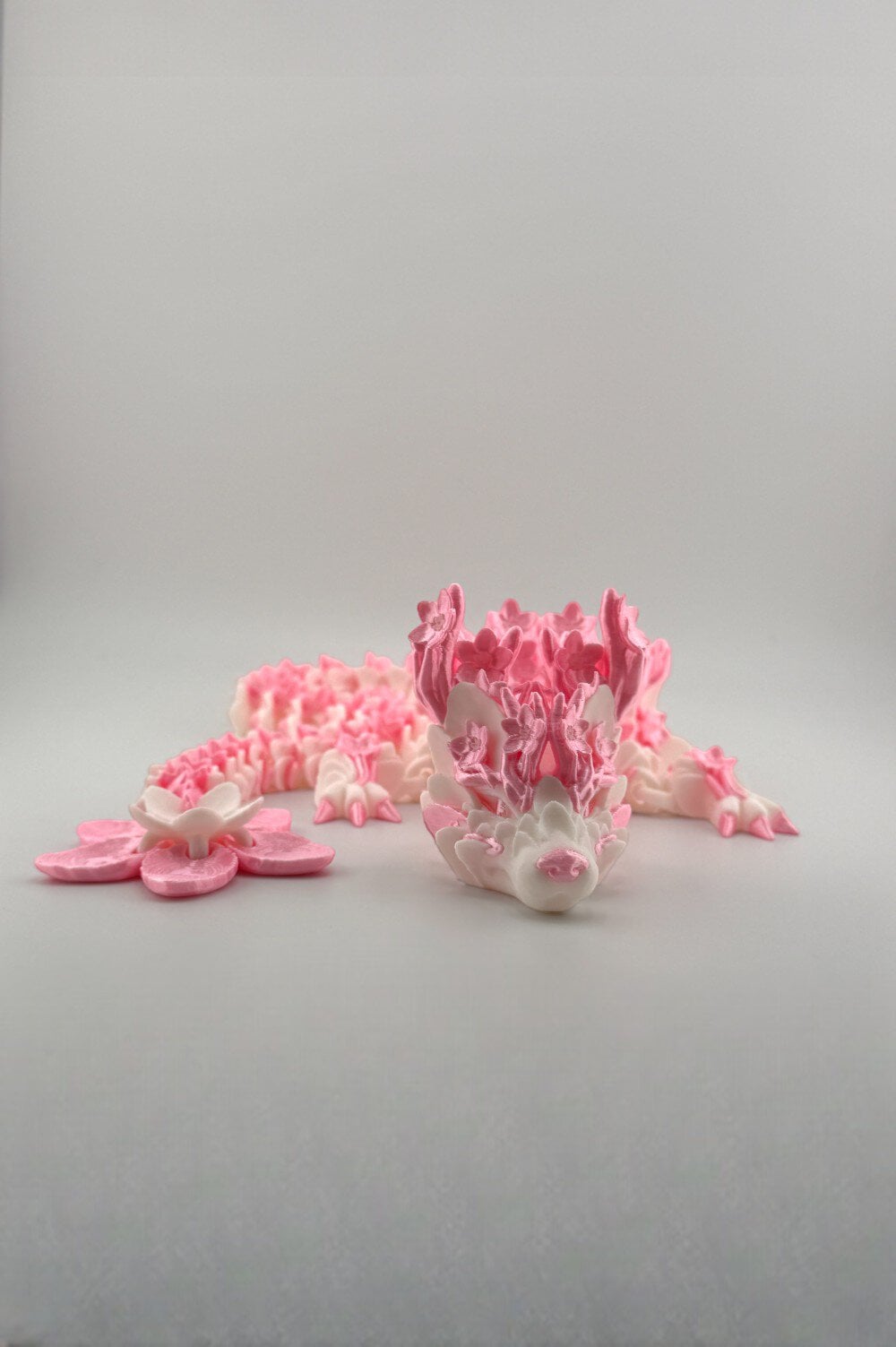 20250627_191439870_iOS-Photoroom