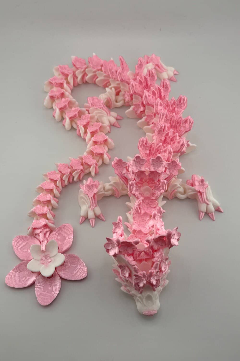 20250627_191442655_iOS-Photoroom