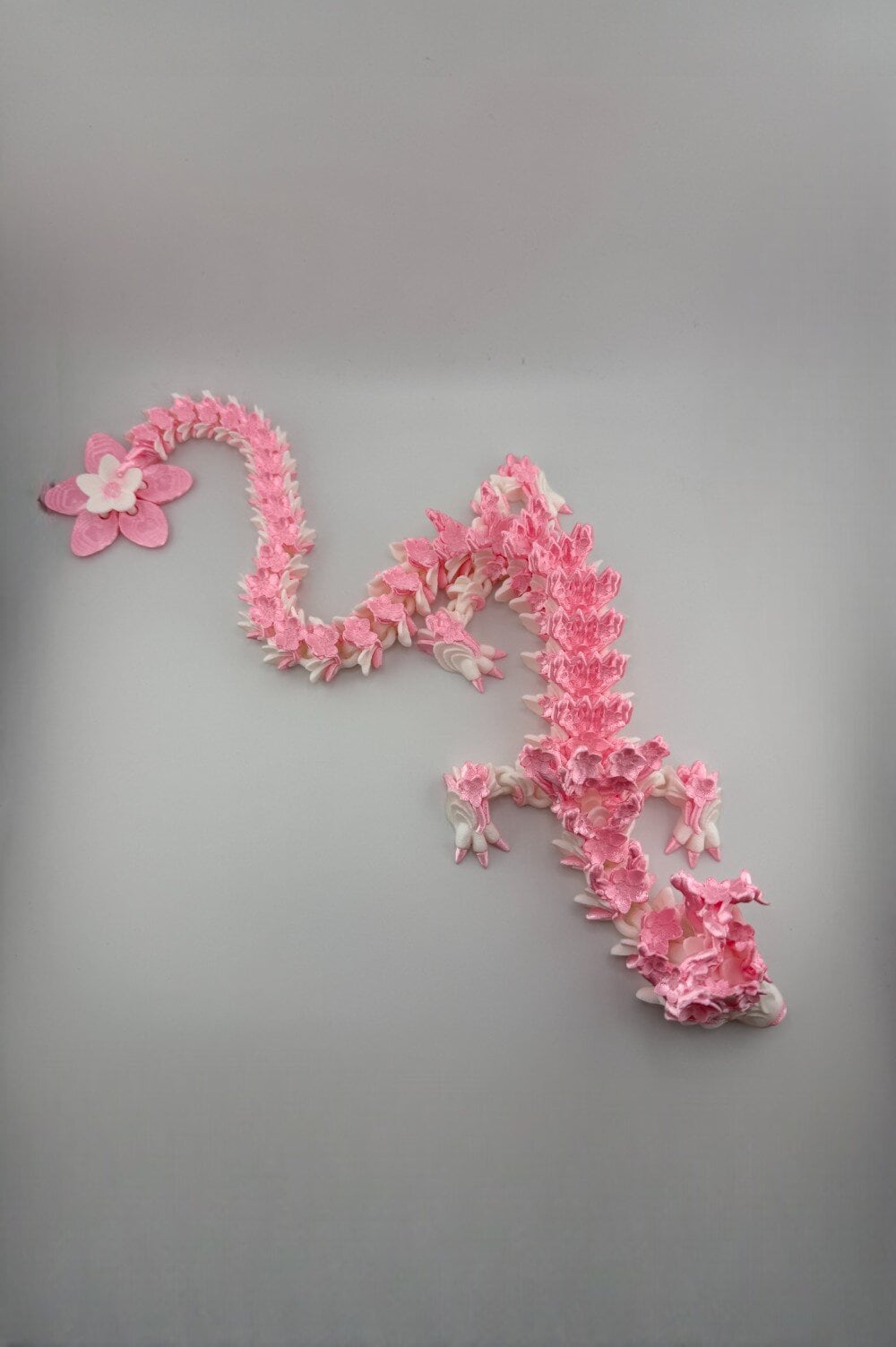 20250627_191543646_iOS-Photoroom