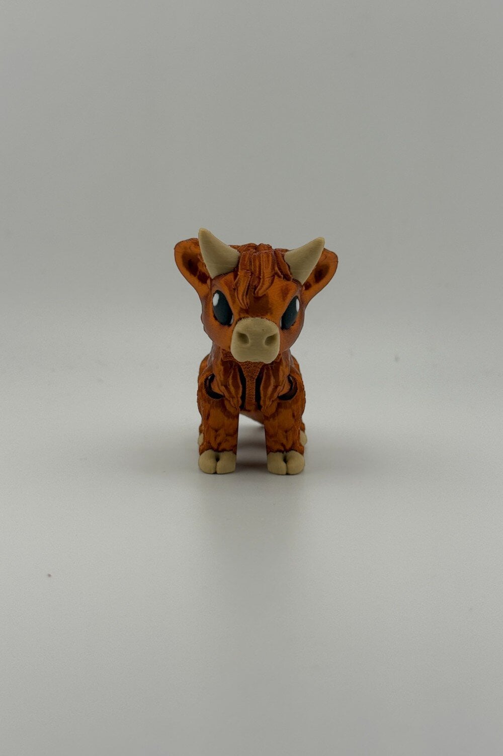 20250627_193055635_iOS-Photoroom