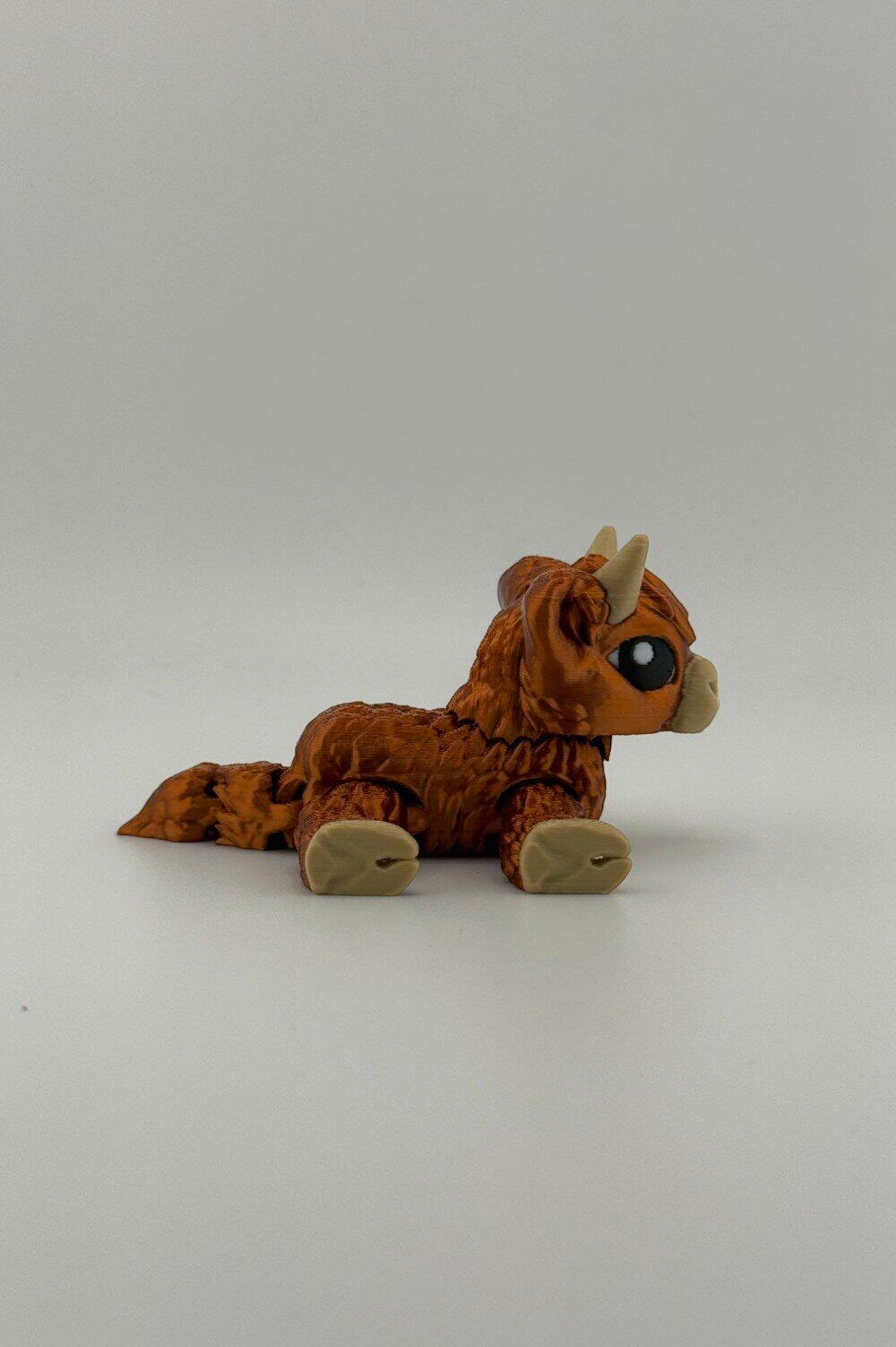 20250627_193101537_iOS-Photoroom