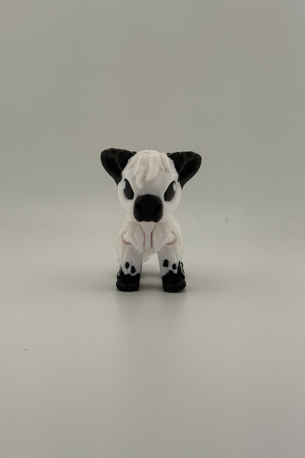 20250627_193150842_iOS-Photoroom