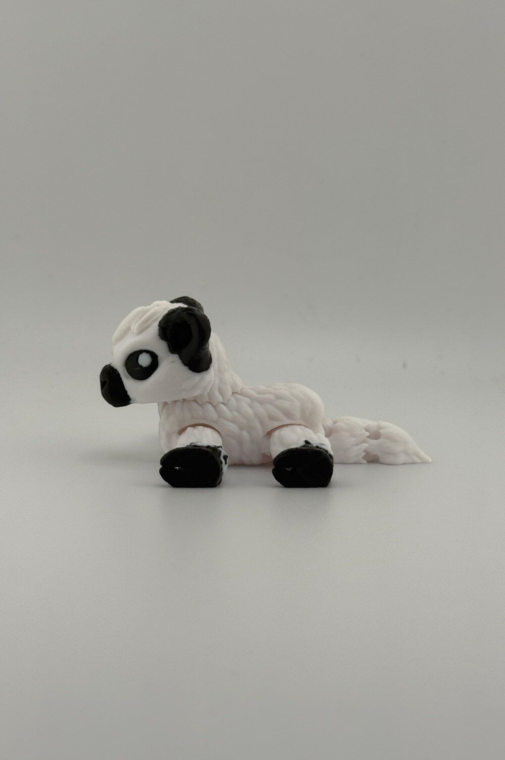 20250627_193158407_iOS-Photoroom