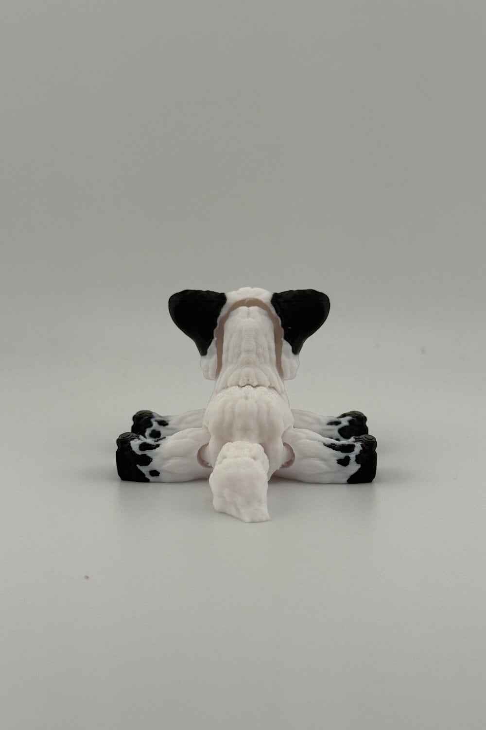 20250627_193203021_iOS-Photoroom