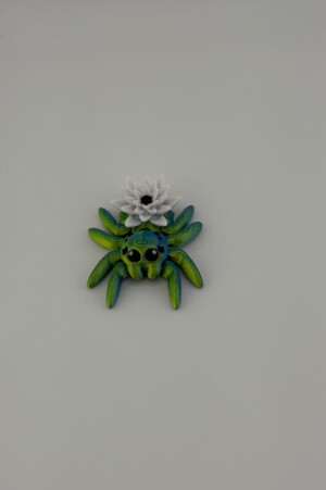 Sally the Flower Spider