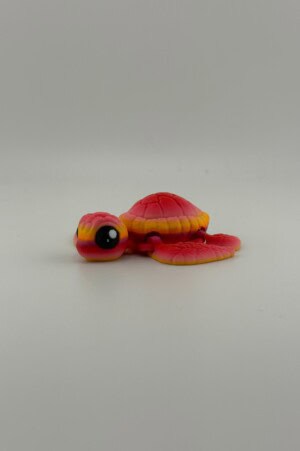 Flame the Sea Turtle