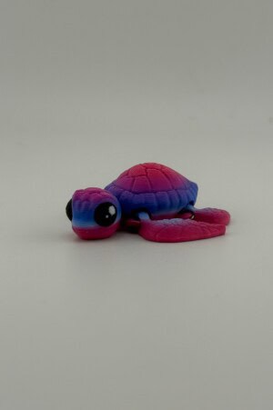 Candy the Sea Turtle