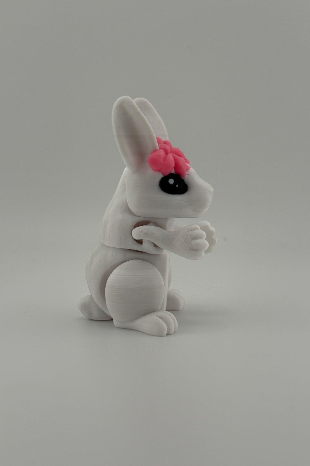 20250628_001604270_iOS-Photoroom