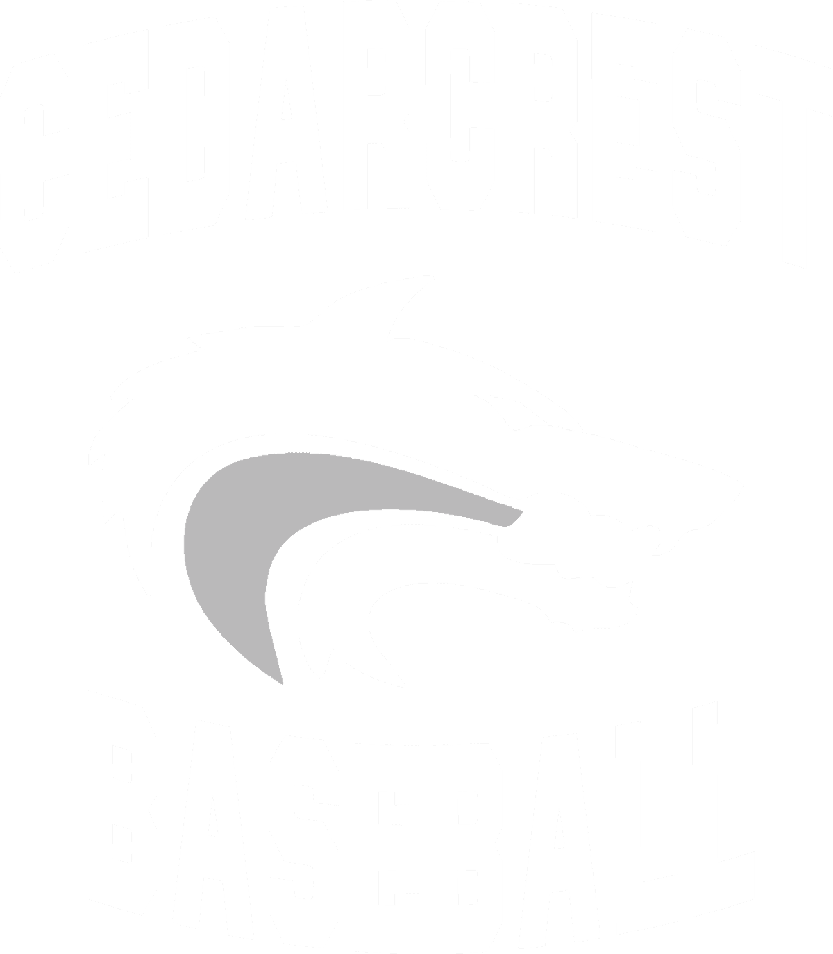 Baseball 2 White