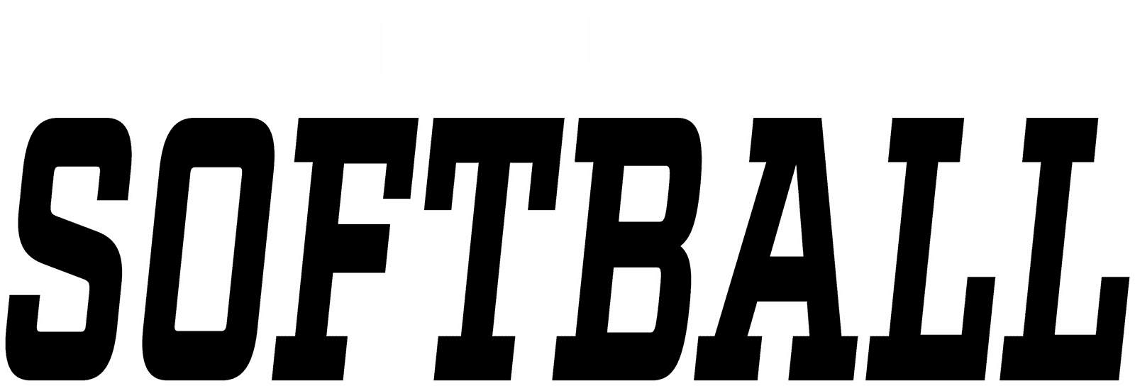 Drink Print Softball 7 Black
