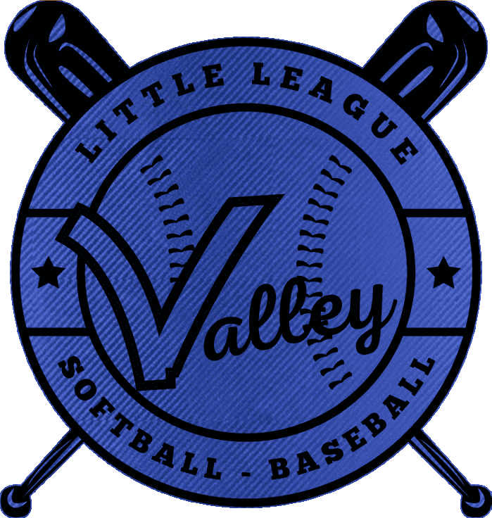 Logo Bats Navy Carbin Fiber Black