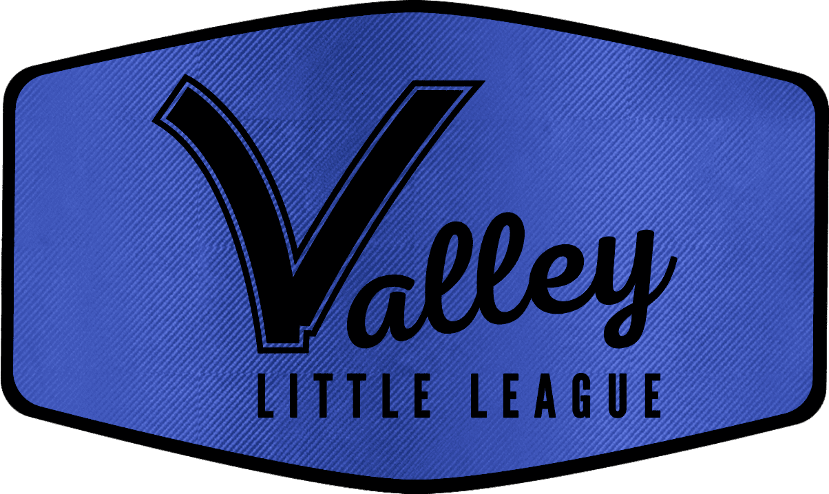 Valley Hex Navy Carbin Fiber Black