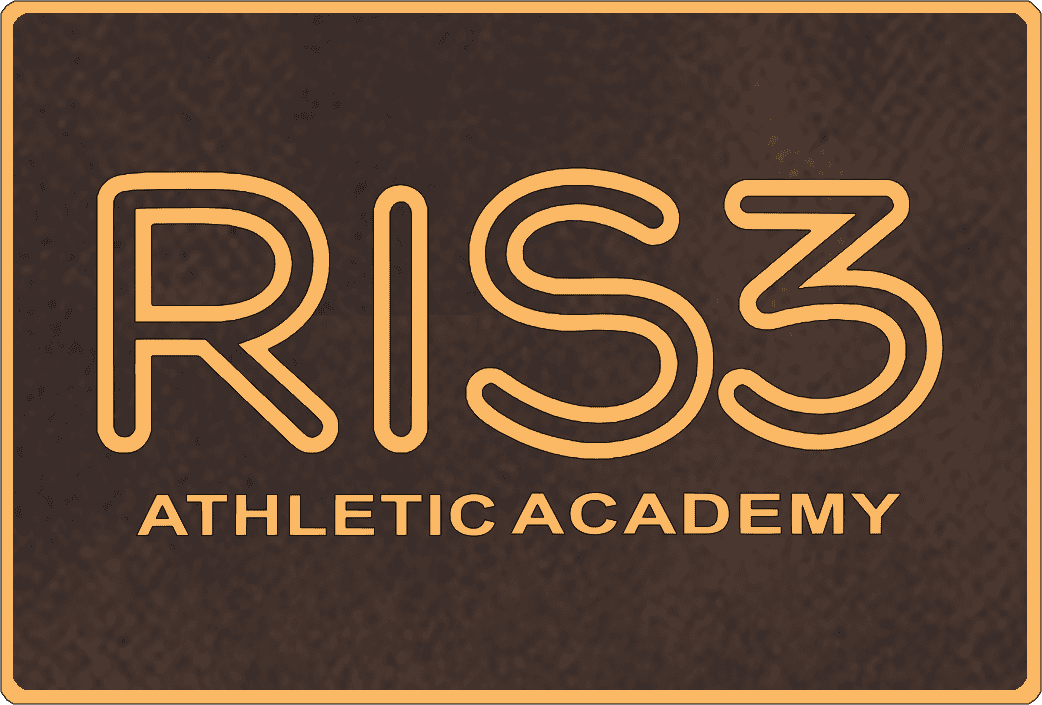 Raa Rectangle Rustic Brown Gold