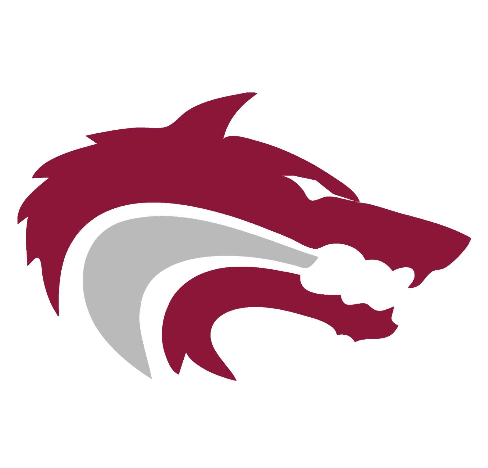CHS Color White