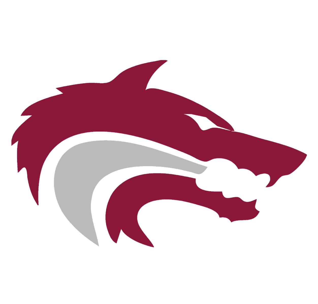 Print CHS Color White
