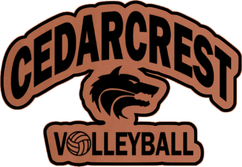 Chsvb1 Rawhide Black
