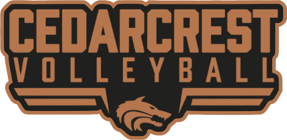 Chsvb2 Black Copper