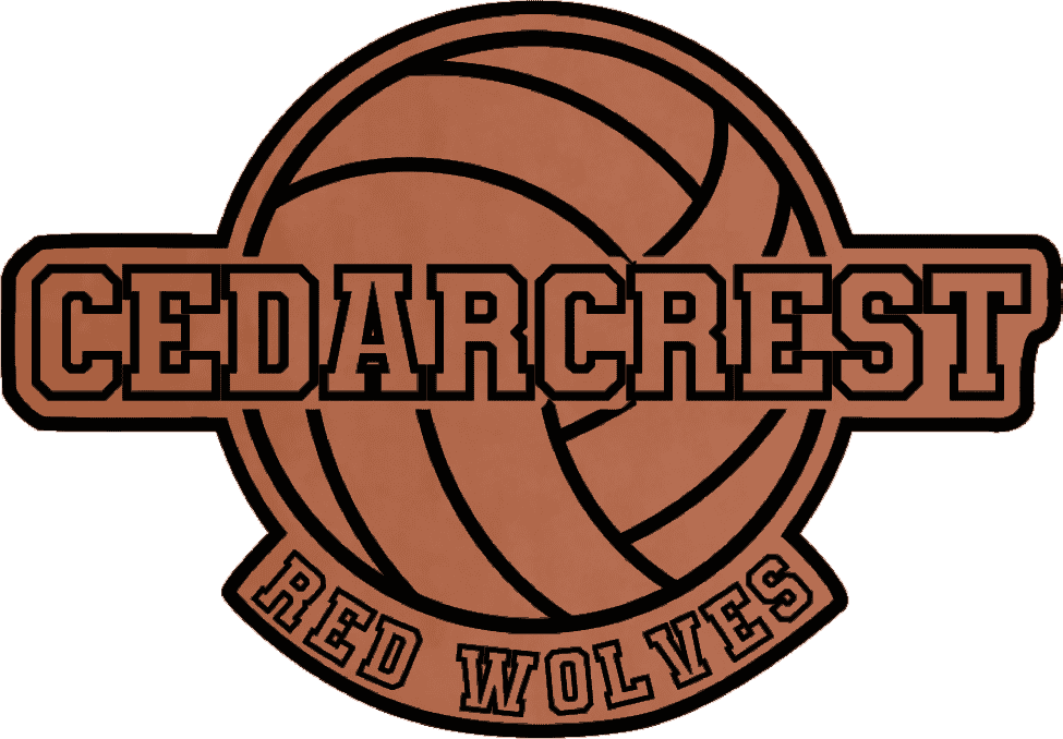 Chsvb4 Rawhide Black