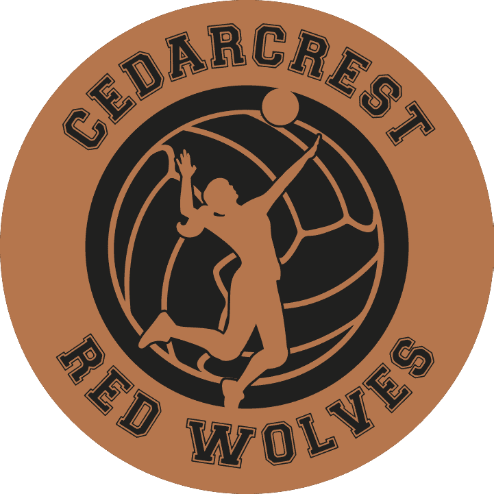 Circle Black Copper