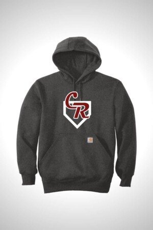 Cedarcrest Baseball and Softball Carhartt® Rain Defender® Paxton Heavyweight Hooded Sweatshirt