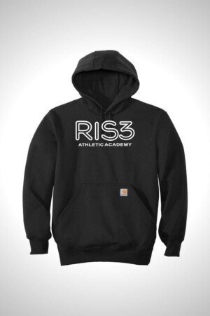 Ris3 Carhartt® Rain Defender® Paxton Heavyweight Hooded Sweatshirt