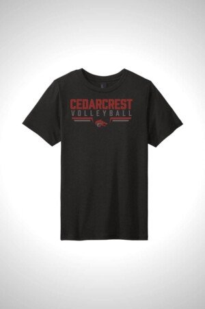 CHS Volleyball District Youth Perfect Tri Tee