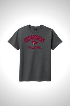 CHS Volleyball District Youth Very Important Tee