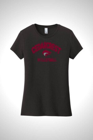 CHS Volleyball District Women’s Very Important Tee